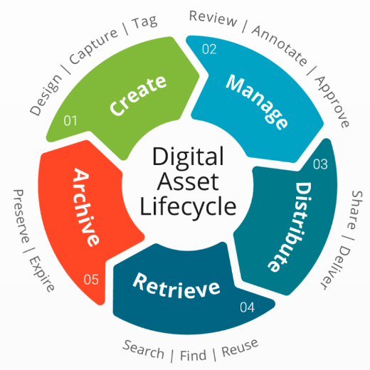 Digital Asset Management Lifecycle